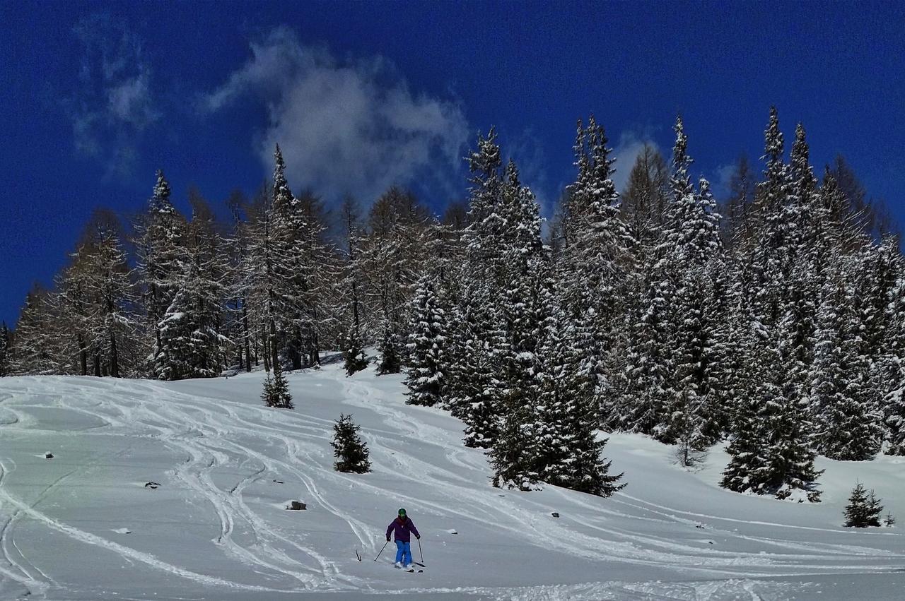 Gasthaus Chalet Mur Sankt Michael im Lungau Exteriör bild